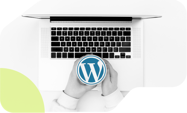Wordpress Development